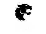 Furia E Sports