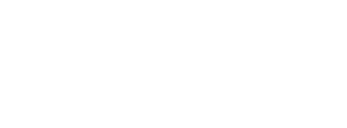 X (8)